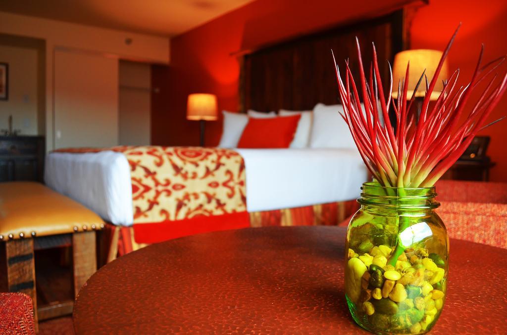 Suite Deluxe