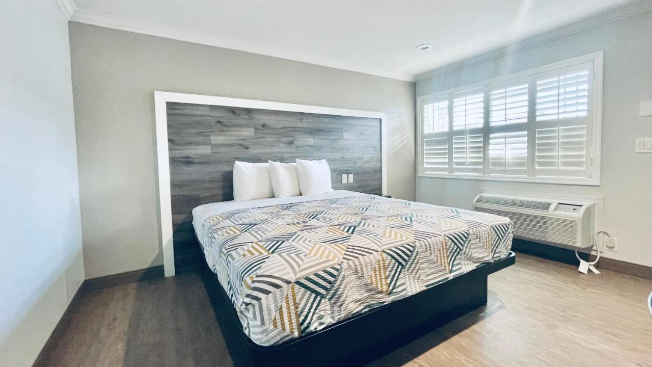 King Room with Roll-in Shower - Disability Access - Non-Smoking,1583087605:JPEG