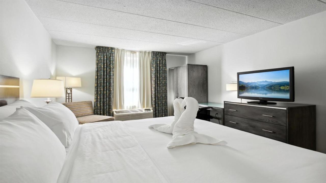 Standard King Room Extra Space