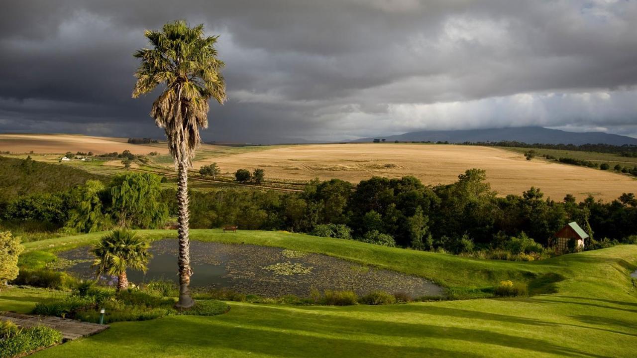 Standard Twin Room,1402691216:JPEG