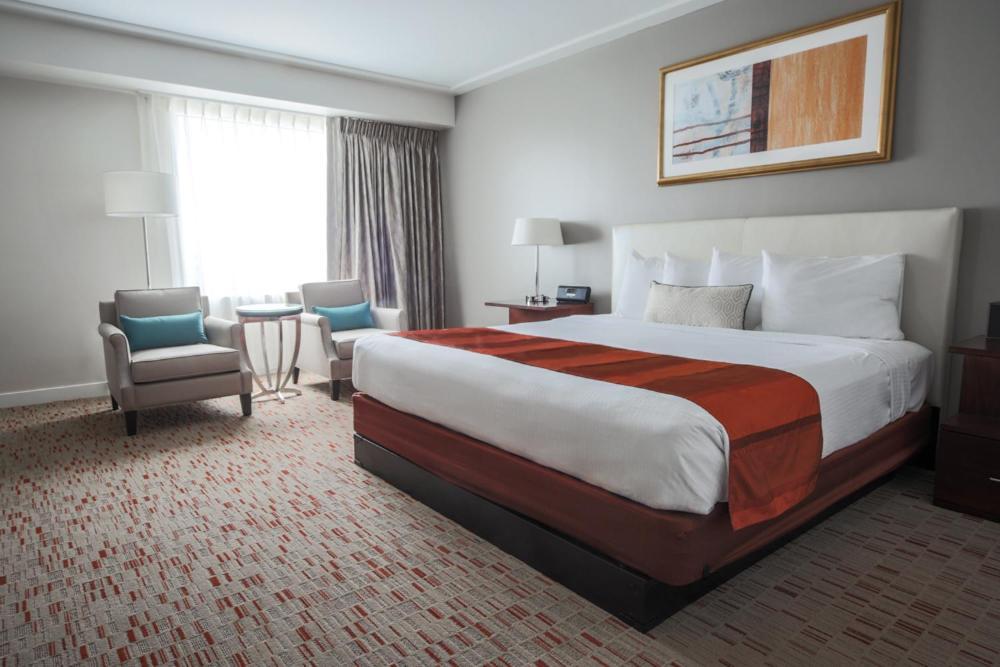 Standard King Room