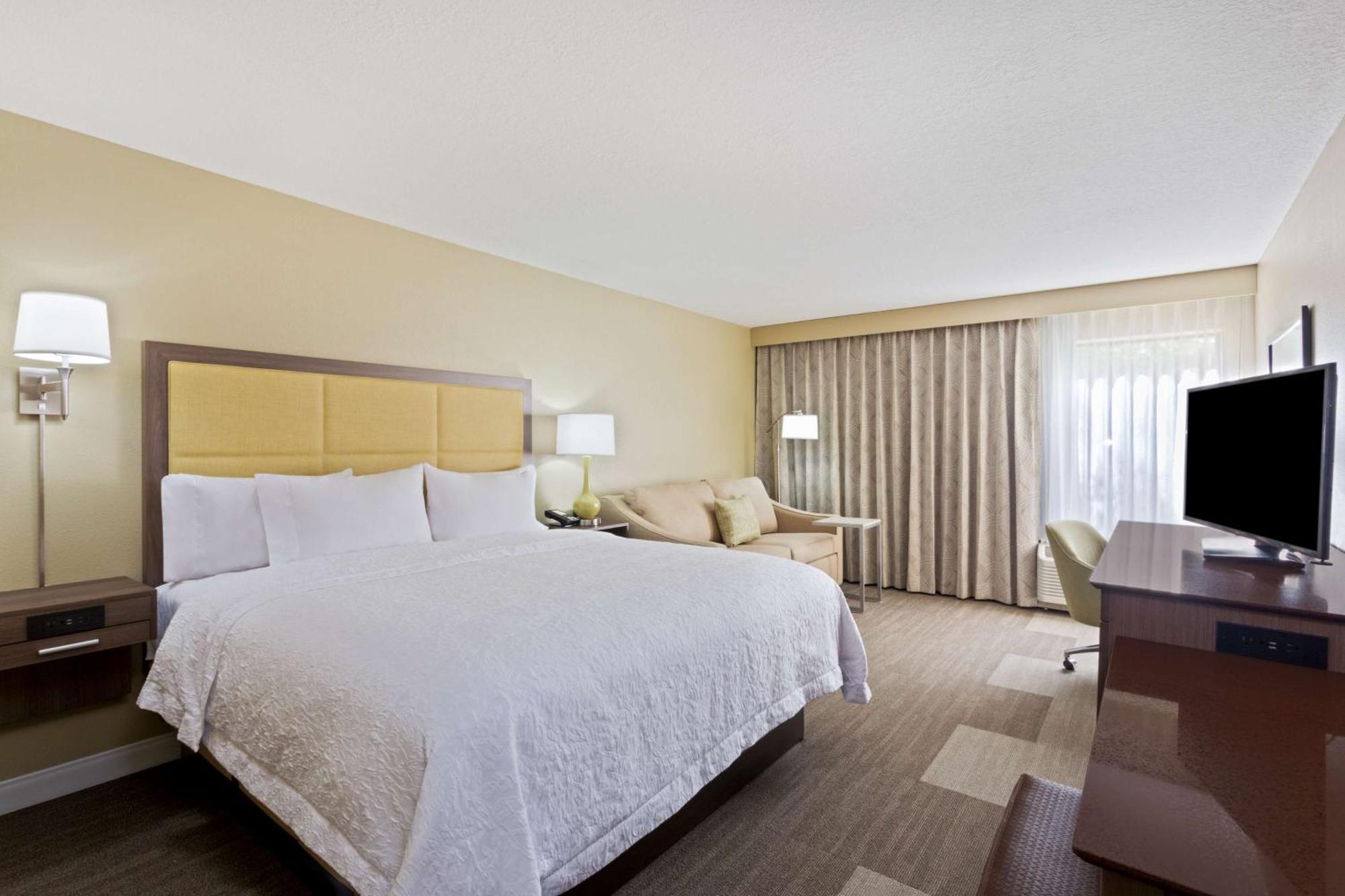 King Room with Sofa Bed - Non-Smoking,1557412261:JPEG