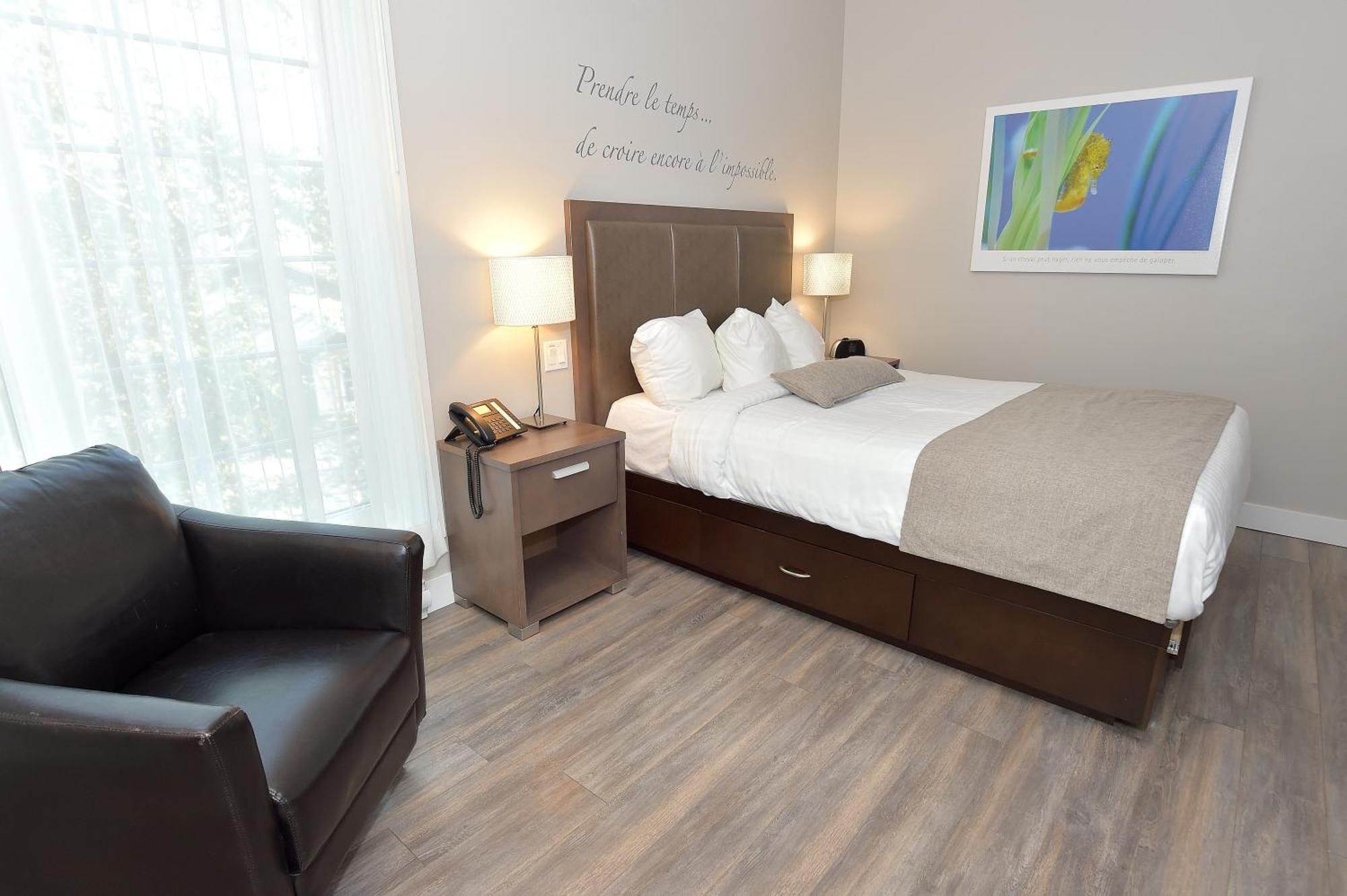 Economical, forest view,1567028762:JPEG