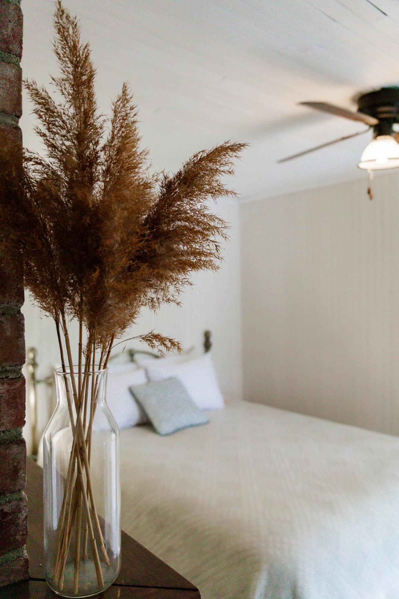 Suite,1680584790:JPEG