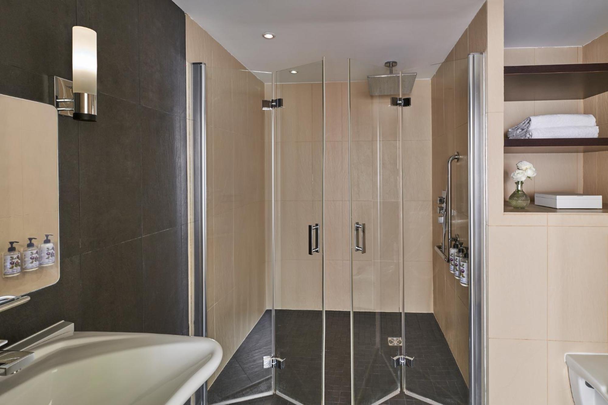 Deluxe Suite with Terrace