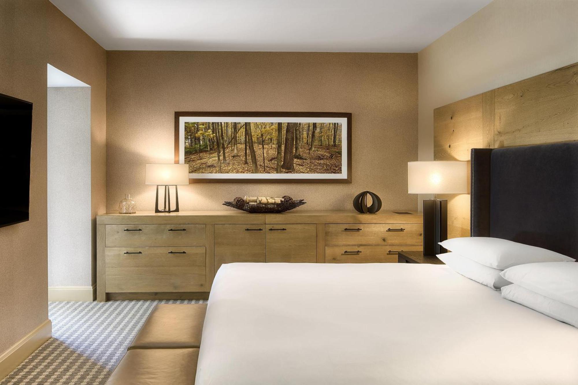 One-Bedroom Suite,1742845081:JPEG