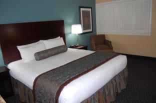 Standaard Kamer met Kingsize Bed - Geen Resorttoeslagen + Gratis Parkeren