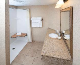 King Room with Roll-In Shower - Disability Access
