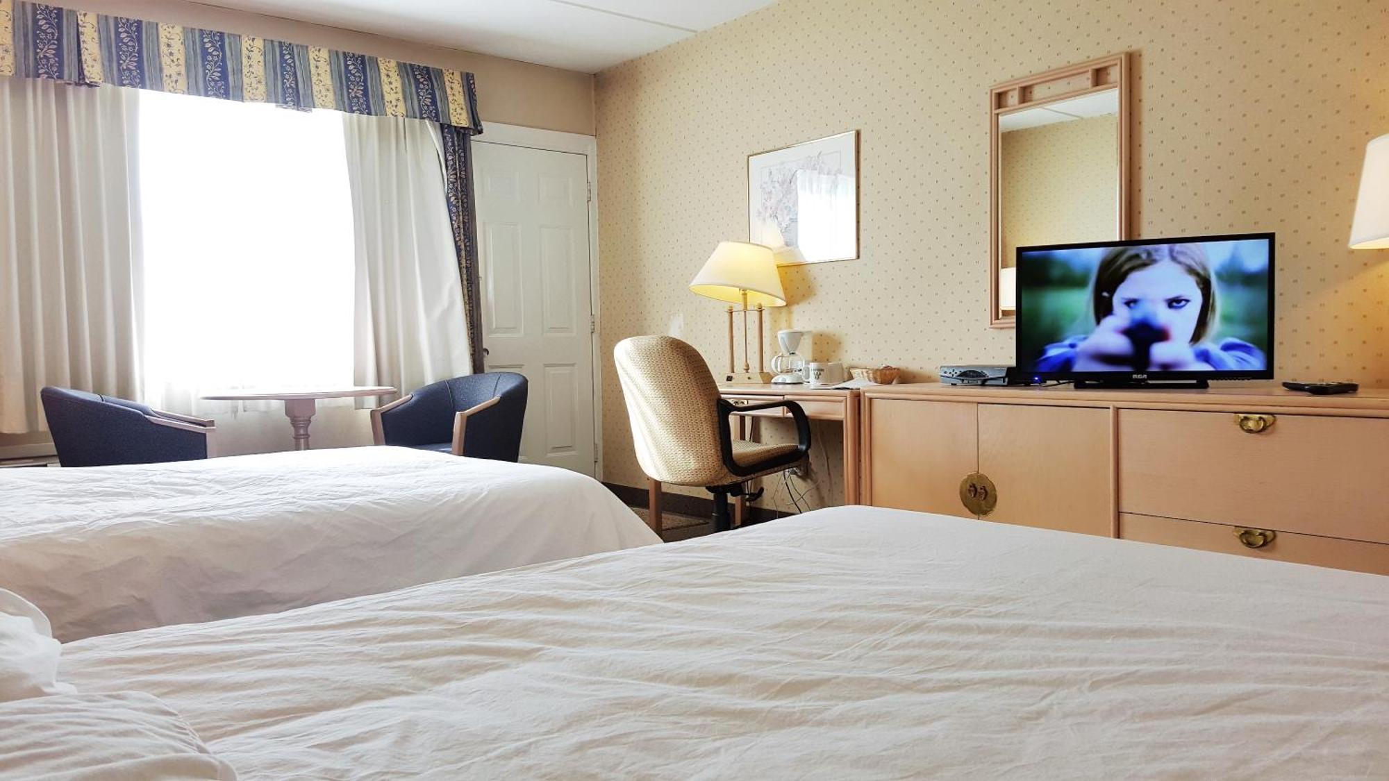 Standard Double Room with Two Double Beds,718446853:JPEG