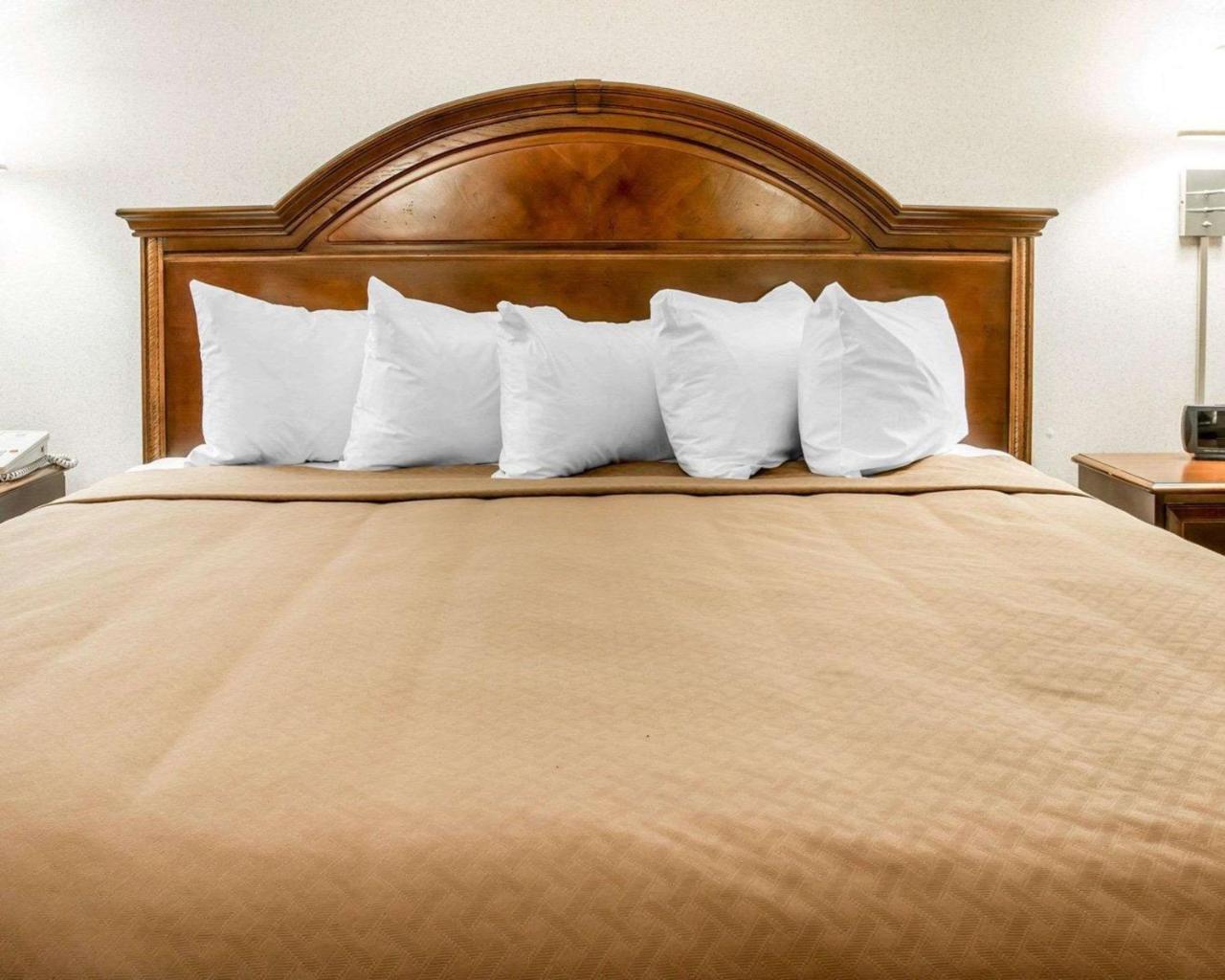 King Room with Sofa Bed,1280794795:JPEG