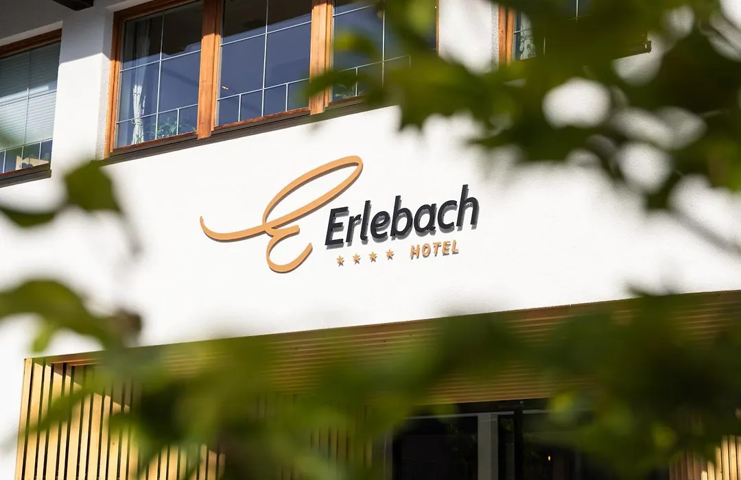 Hotel Erlebach 4-1