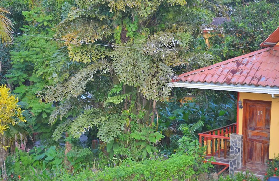 Hotel Tres Banderas-1