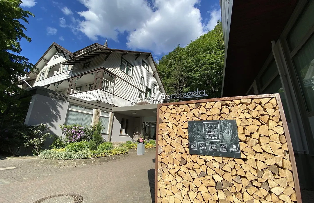 Harz Hotel&Spa Seela-1