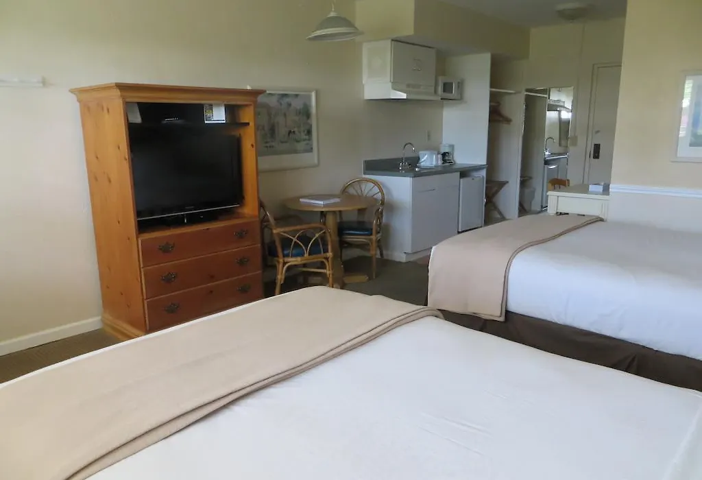 Lemon Tree Inn-1