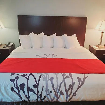 Blackstone Lodge&Suites-2