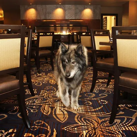 Jackson Rancheria Casino Resort-2