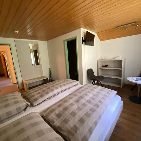 Hotel Steinbock-2