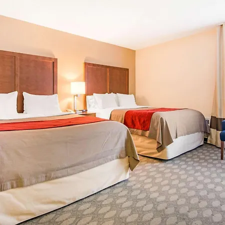 Comfort Inn Fallsview-2
