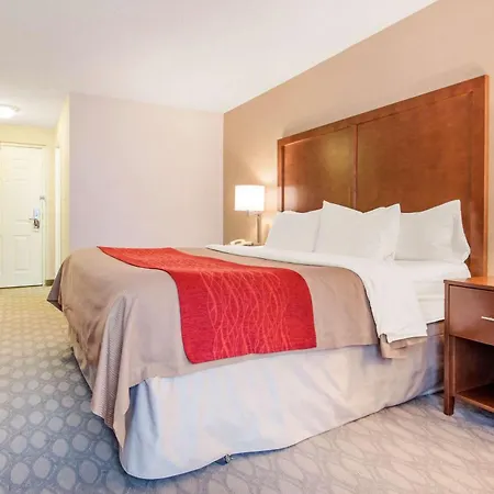 Comfort Inn Fallsview-2