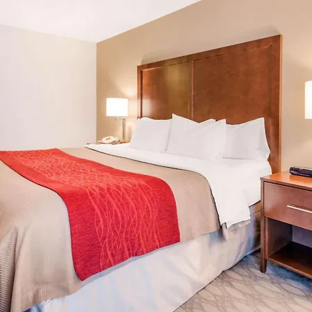 Comfort Inn Fallsview-3