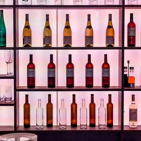 Airport Hotel Basel - Convenient&Friendly-3