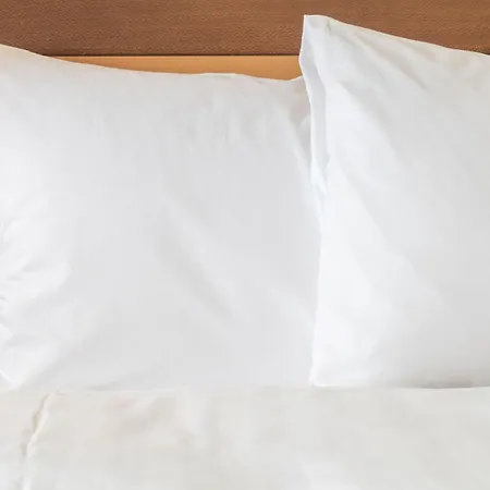 Holiday Inn Express Mineral Wells By Ihg-2