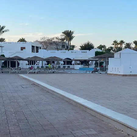 Harem At Coral Bay-3