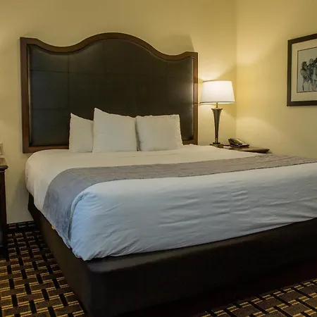 Evangeline Downs Hotel, An Ascend Collection Hotel-3
