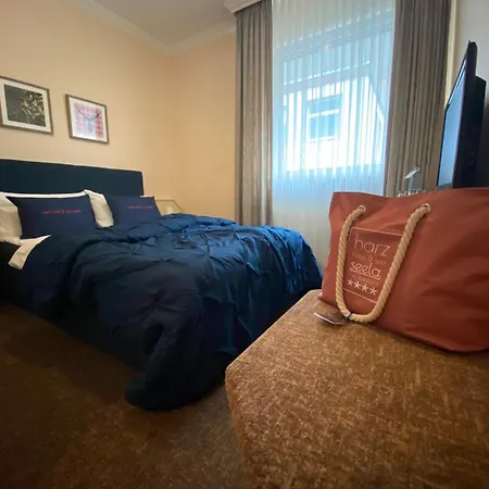 Harz Hotel & Spa Seela-3