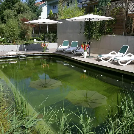 Wunsch Hotel Mürz - Natural Health&Spa Hotel-2