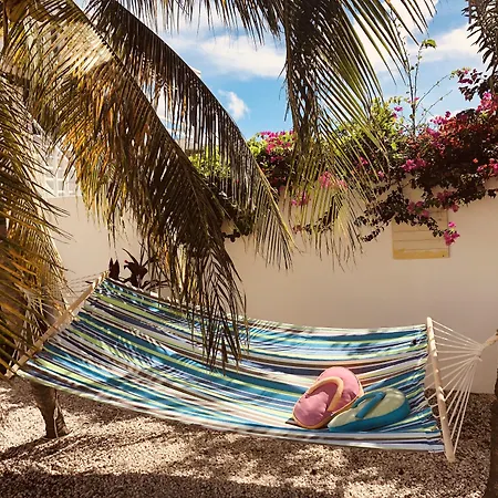 Karibu Aruba Boutique Hotel-2