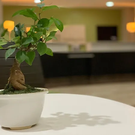 Holiday Inn Mayaguez & Tropical Casino By Ihg-3