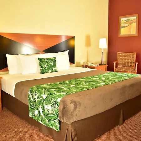 Sleep Inn Paseo Las Damas-3