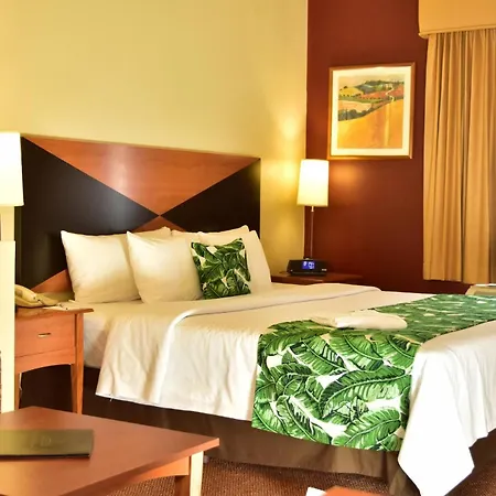 Sleep Inn Hotel Paseo Las Damas-2