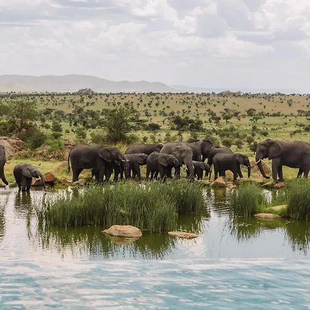 Four Seasons Safari Lodge Serengeti-3
