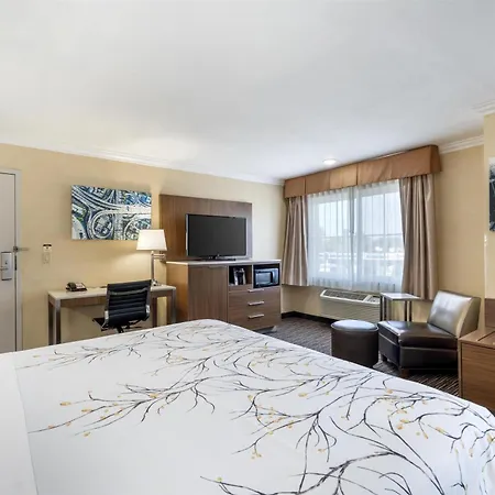 Best Western Airpark Hotel - Lax Airport La Stadium-3