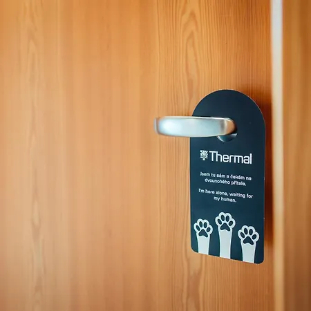 Hotel Thermal-3