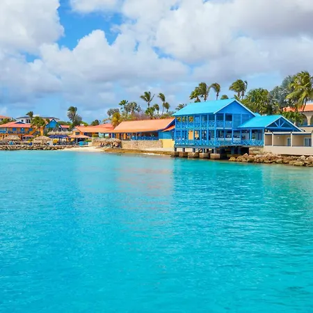 Divi Flamingo Beach Resort-3
