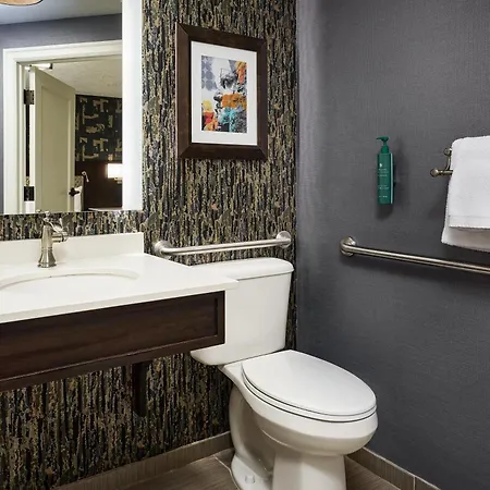 Hotel Alex Johnson Rapid City, Curio Collection By Hilton-3