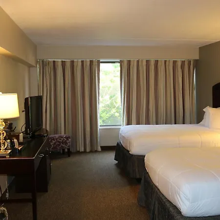 The Avalon Hotel-3