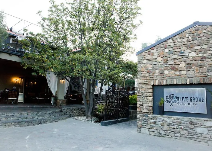 Olive Grove Guesthouse
