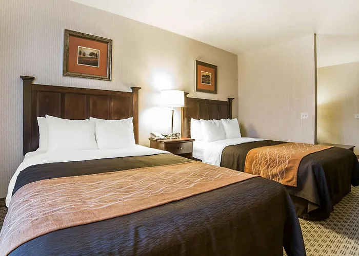 Comfort Inn & Suites Henderson - Las Vegas