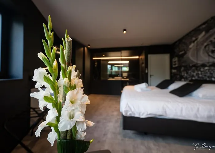 Les Thermes De Spa By La Cour De La Reine Hotel, Suites & Acces Gratuit Au Centre Thermal