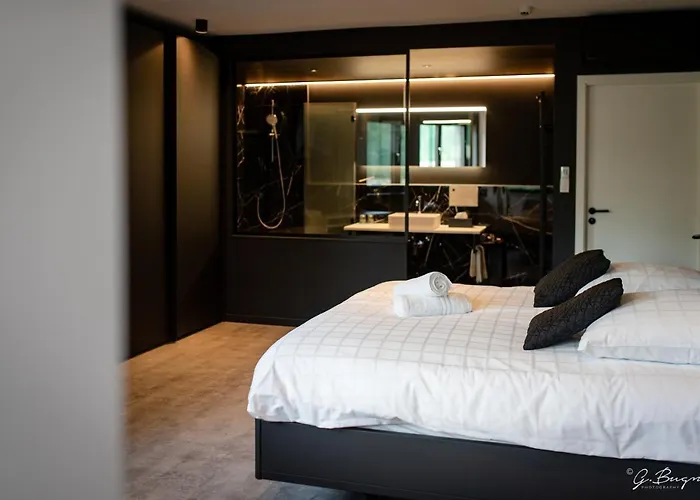 Les Thermes De Spa By La Cour De La Reine Hotel, Suites & Acces Gratuit Au Centre Thermal