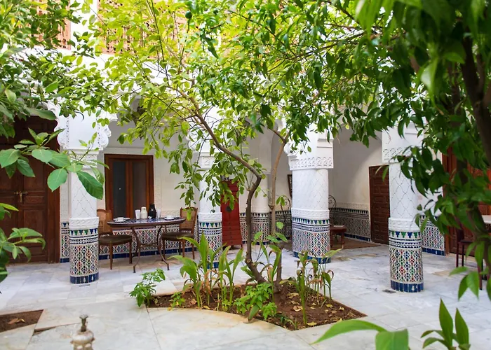 Riad Ben Youssef