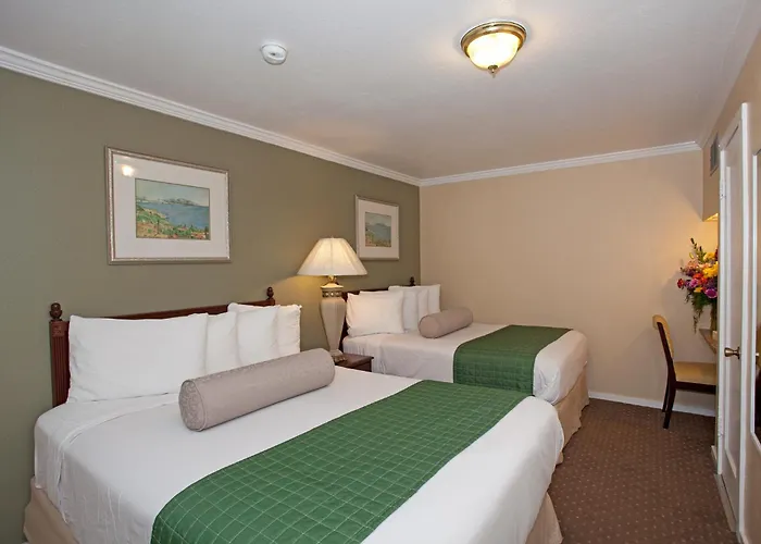 Traveler'S Inn Williams, Ca Modern Renovated Hotel