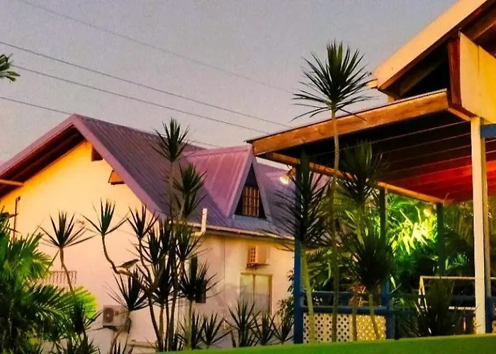 Bananaquit Tobago -Stay Near The Beach