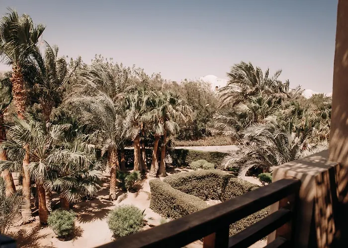 Cook’s Club El Gouna (Adults Only)