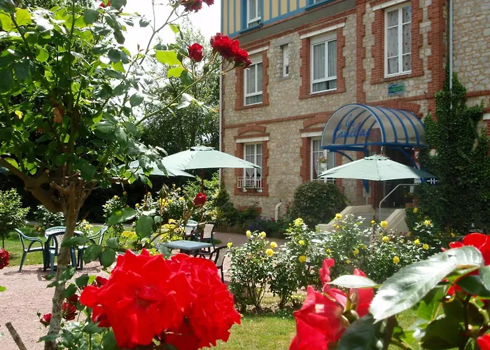 Les Camelias