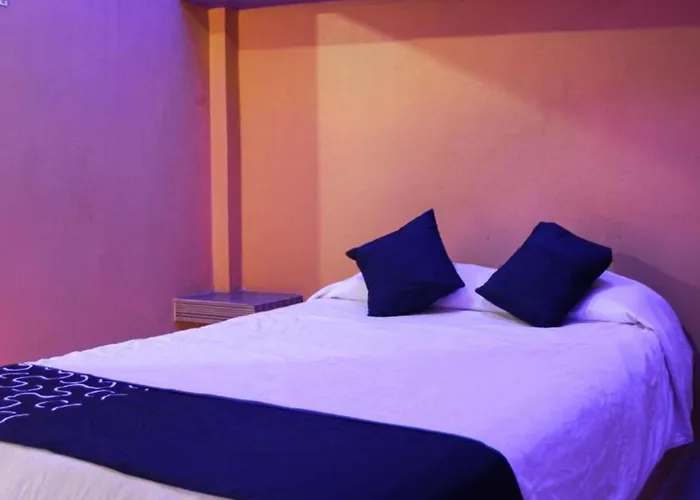 Oyo Hotel Oasis